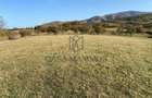 O oportunitate care îți atinge sufletul: Teren de vis la ieșirea din Rășinari