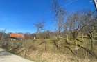 Livada cu pomi fructiferi, teren intravilan la 50 km de Cluj-Napoca - 2