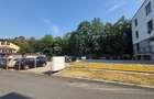 SHOWROOM - MAGAZIN -  PRODUCTIE - DEPOZITARE - 13