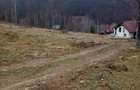 Teren de 10000 mp, în Lepșa - 2
