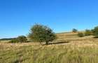 Teren agricol extravilan de 2900 mp, în Nucet - 2