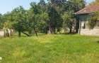 Casa cu 2 camere, teren 3000 mp, padure - 6