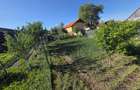 Casă cu 2 camere în Crizbav - 1