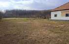 Casa de vanzare in Babeni, str. Bonciu, jud. Valcea + teren 5129 mp ! - 9