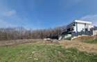 Aroneanu 1650 mp inntravilan , langa padure , view spre lac - 4