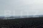 TEREN ARABIL EXTRAVILAN 15.000 mp SANTUHALM - 4