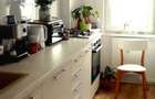 Apartament 1 camera de vanzare ,Comision 0% Platinia Mall-Gradini Man - 5