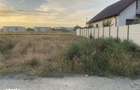 Teren Agigea intravilan 500 m2 - 3