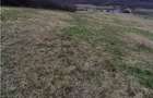 RECO Teren intravilan 5487 mp cu dublu front stradal-zona Be - 4