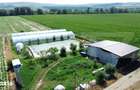 Teren extravilan 14.000 mp, Drambar Ciugud | solarii, fotovoltaice