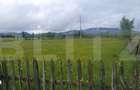 Teren extravilan, 6200 mp, zona Saru Dornei - Vatra Dornei - 4