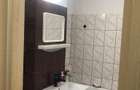 Colentina, Teiul Doamnei, Parc, semistradal - 8