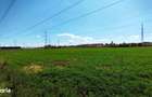 Terenuri intravilane 4550 MP, deschidere la strada 32 m - 5