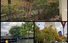 Apartament 2 camere + bucatarie, baie ?i balcon - 3