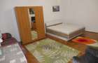 Apartament 1 camera, foarte spa?ios, cu termoteca, central - Podgoria - 2