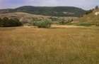 Vanzare terenuri construc?ii (agricol) - 1