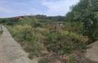 Vand teren intravilan 2200 mp,Ghioroc - 2