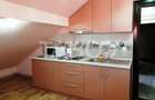 Apartament de inchiriat  56 mpu 2 camere mansarda in vila Selimbar - 10