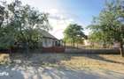 Casa 3 camere, Teren 1036 mp Front 22 m - Str. Florilor 46 - Carei - 8