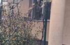 Prahova, Sat. Minier