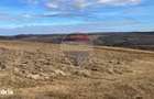 Teren 4000mp Padureni Ciurila in Arenda | Pachet 2 Loturi 7000 mp