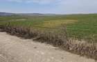 Teren intravilan de vanzare 3300 mp, Le?ile - 1