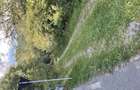 Teren extravilan 4061mp in Arge?, Rucar (saticul de sus) -sub Piatra Craiului - 7