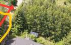 Cabana Voronet (Gura Humorului) Vanzare sau Schimb cu Apartament Bucuresti + Parcare - 8