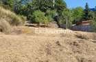 Teren intravilan Turcesti (Pitesti) - 1083 mp, demisol ex... - 5