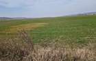 Teren intravilan de vanzare 3300 mp, Le?ile - 3