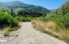 Teren Intravilan De Vanzare Pe Transalpina ,Valea Sebesului - 12
