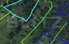 Padure 1,42 hectare in Poiana Ilvei - 1