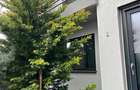 Vanzare Vila Otopeni Central Tip Insiruit - 12