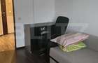 Apartament 1 camera, 27 mp, pet friendly, zona Bulgaria - 5