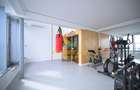 Penthouse Vacaresti Delta Vacaresti Mobilat Utilat Lux