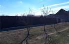 Vand teren in loc. Secusigiu 2900 mp,la sosea - 9