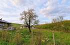 Teren intravilan, 1026 mp , Tomesti