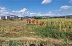Teren intravilan 5.756 mp cu acces direct la Soseaua de Centura Alba - 3