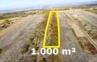 VIDEO | Teren intravilan cu livada – 1.000 m² in Ardud-Vii, cu view spectaculos!