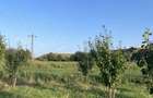 Vand teren intravilan - 4