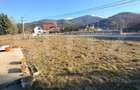 Teren intravilan de vanzare Sambata de Sus +4 ATV-URI - 4