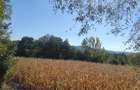 Teren de vanzare - excelent pentru investi?ie sau o proprietate intr-un cadru natural deosebit!