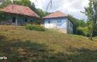 Casa batraneasca plus teren 9515 mp. Salatrucel sat Serbanesti - 8