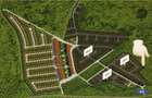 Teren Westfield Arad - 1