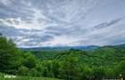 7.000 mp, pozitie spectaculoasa, fara vecini, Fundatica, Brasov - 4
