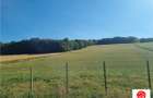 De vanzare teren intravilan 3.1 Ha, Sancraul De Mures, Mures - 2