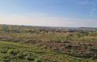 vand teren intravilan Paleu 3100 mp, 39 eur/mp