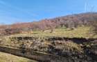 Teren extravilan, zona si priveliste superba, Cuvin - 6