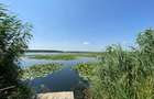Teren intravilan 17 m deschidere Lac Silistea Snagovului 5000mp - 6