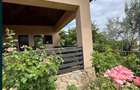 Casa tip parter Pietroasele - 10